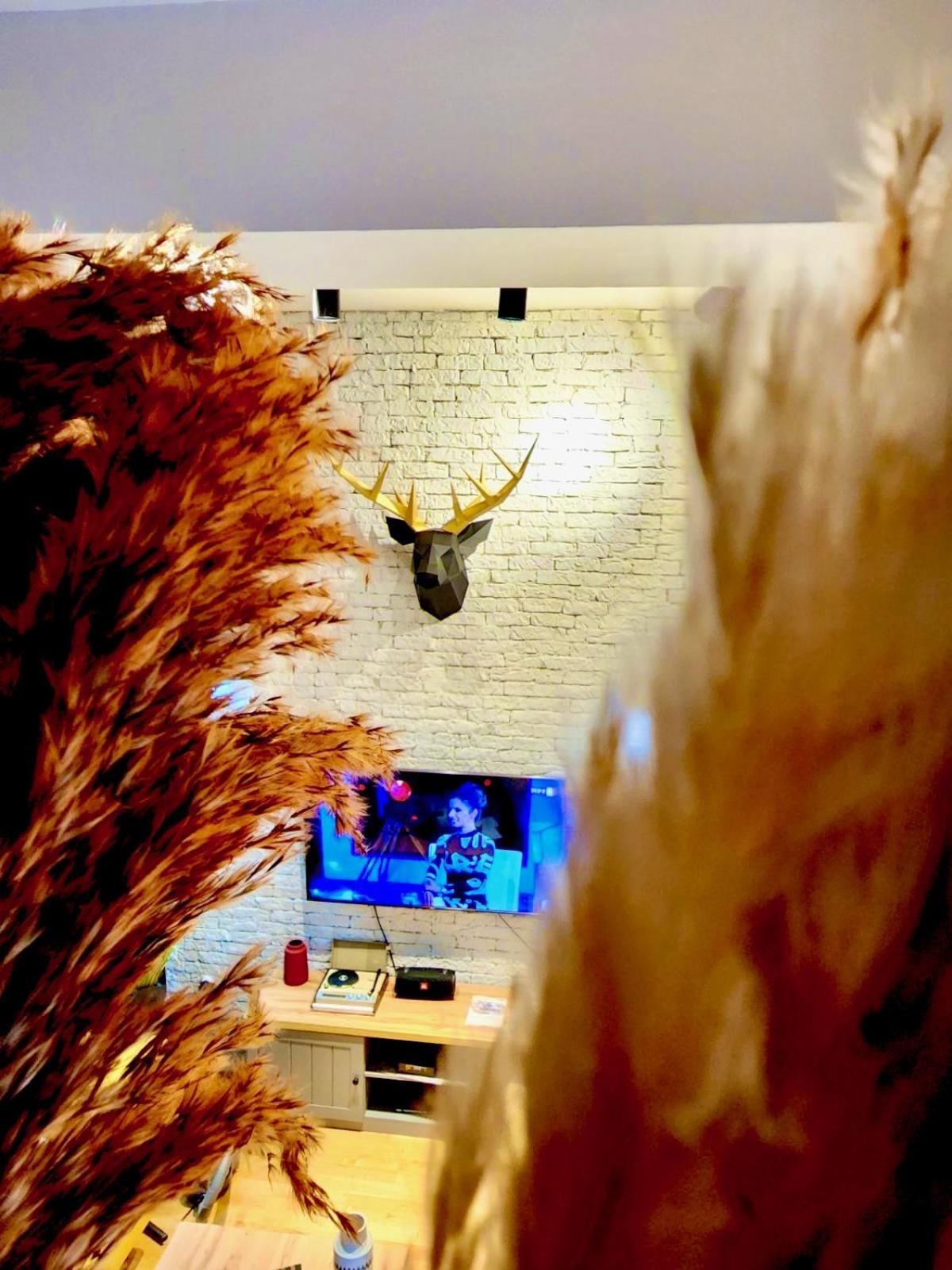 סקופיה Lifestyle Gallery Apartment מראה חיצוני תמונה