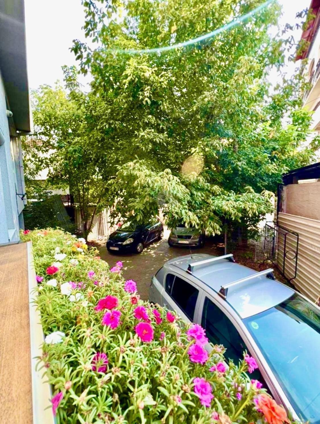 סקופיה Lifestyle Gallery Apartment מראה חיצוני תמונה